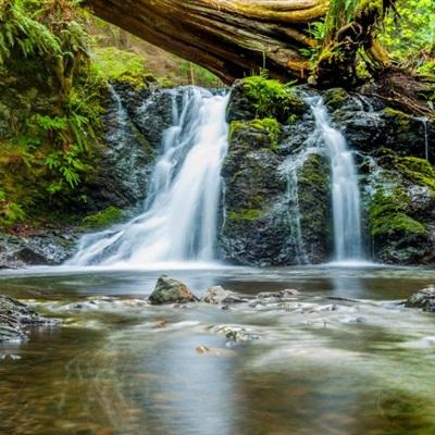 BB贝博平台登录appapp下载