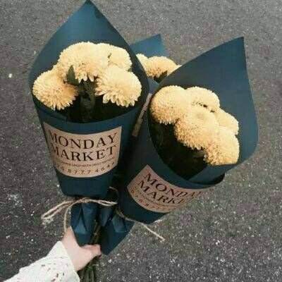 49图库资料免费大全资料澳门