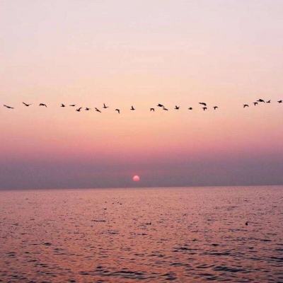 71771威尼斯.Cm手机app下载截图