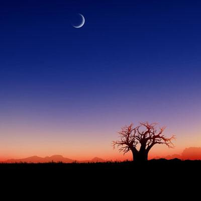 ROR体育官网登录入口