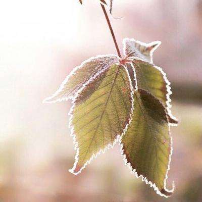 威斯尼斯wns888入口app