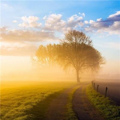 亚虎娱乐app下载手机app下载